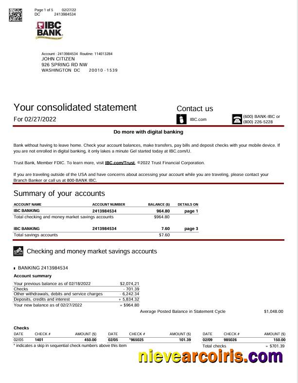 USA Texas IBC bank statement Word and PDF, 5 pages